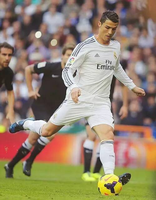 这一殊荣 这一殊荣