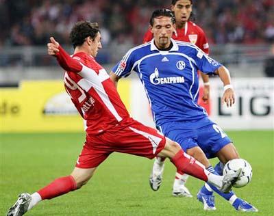 自然是充满 自然是充满