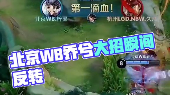 20倍的估 20倍的估