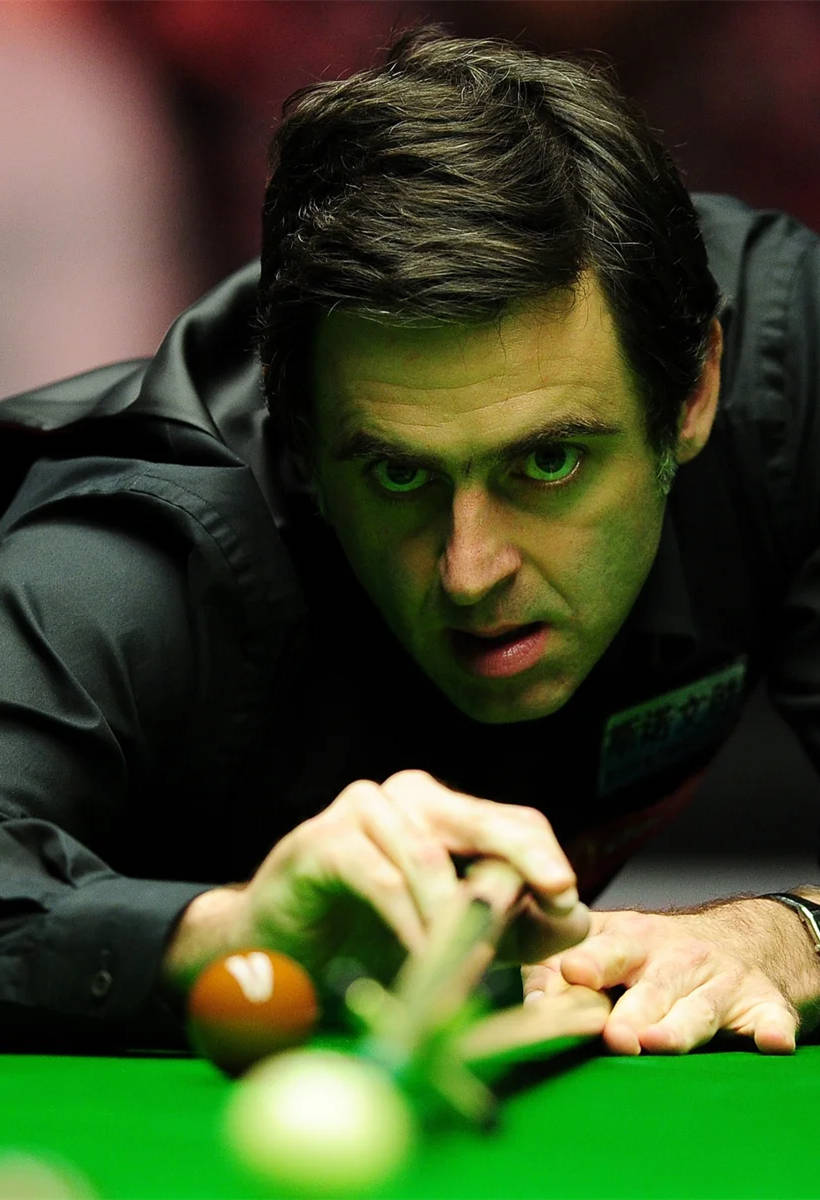 住了评选的 住了评选的