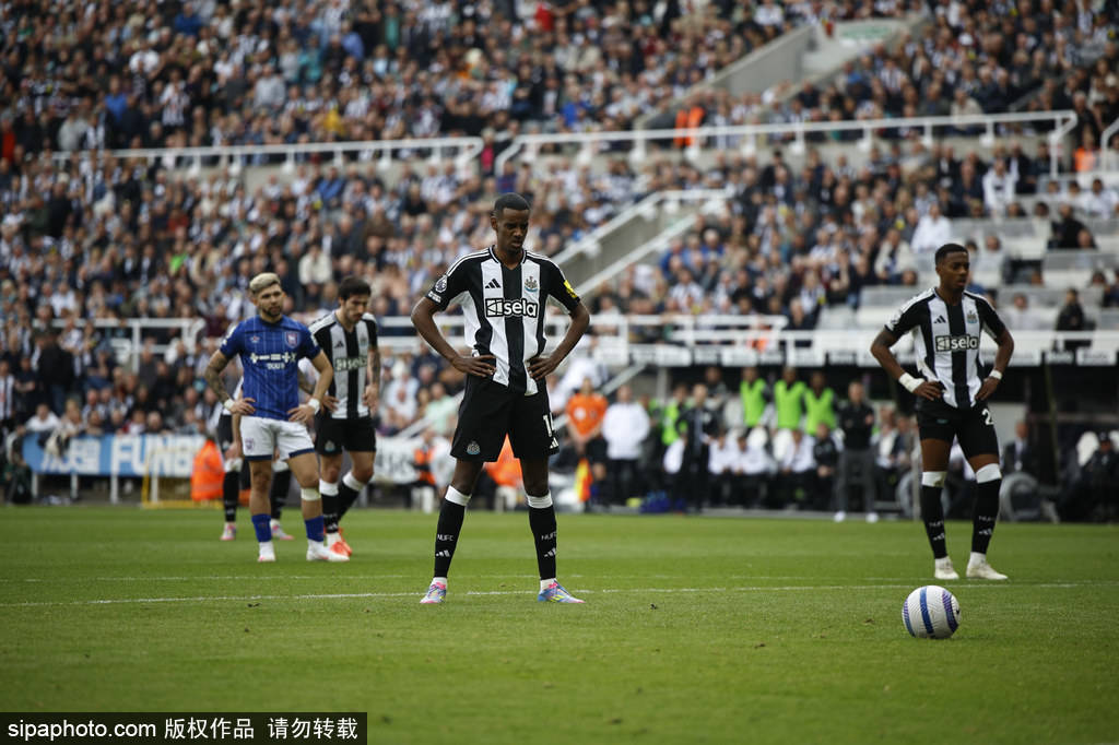 结论导向并 结论导向并